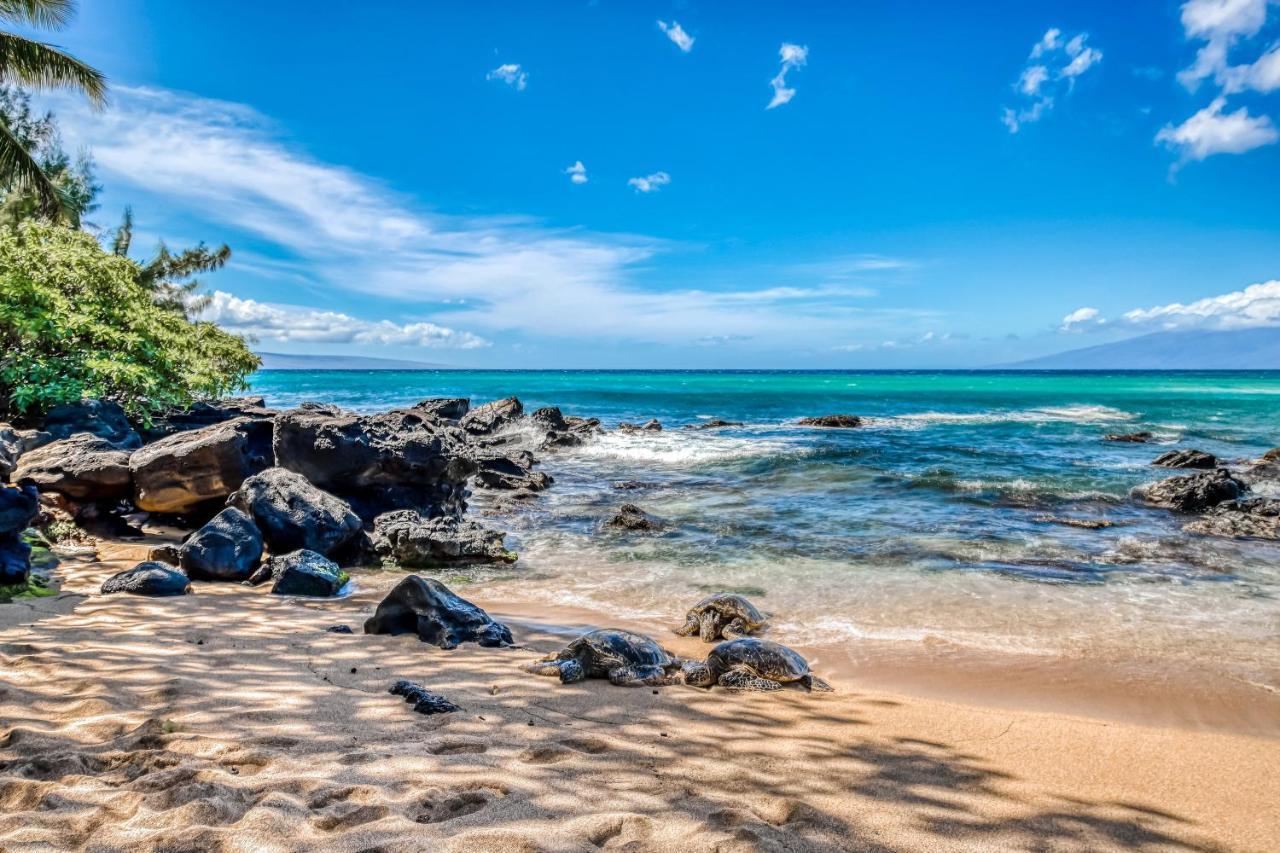 Mahina Surf Villa Kahana Room photo